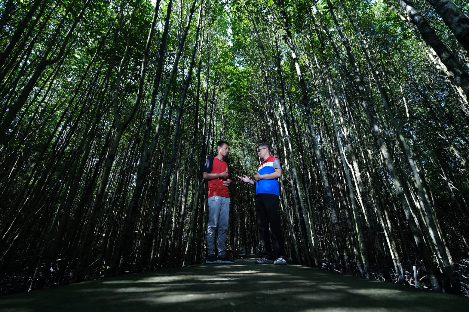 PHR Kurangi Emisi Karbon Setara Emisi 845 Mobil Melalui Konservasi Mangrove di Bandar Bakau