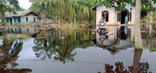 300 KK Di Karya Mukti Rohil Terdampak Banjir