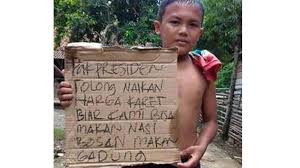 Harga karet Terus Anjlok, Mahasiswa Rokan Terpaksa Berhenti Kuliah