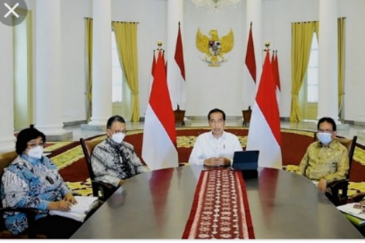 Ribuan Izin Usaha Tambang, Kehutanan dan HGU Perkebunan Bandel Dicabut Presiden