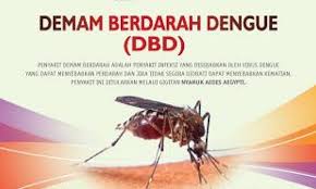 Perubahan Cuaca, Kasus Demam Berdarah Meningkat Signifikan di Inhu