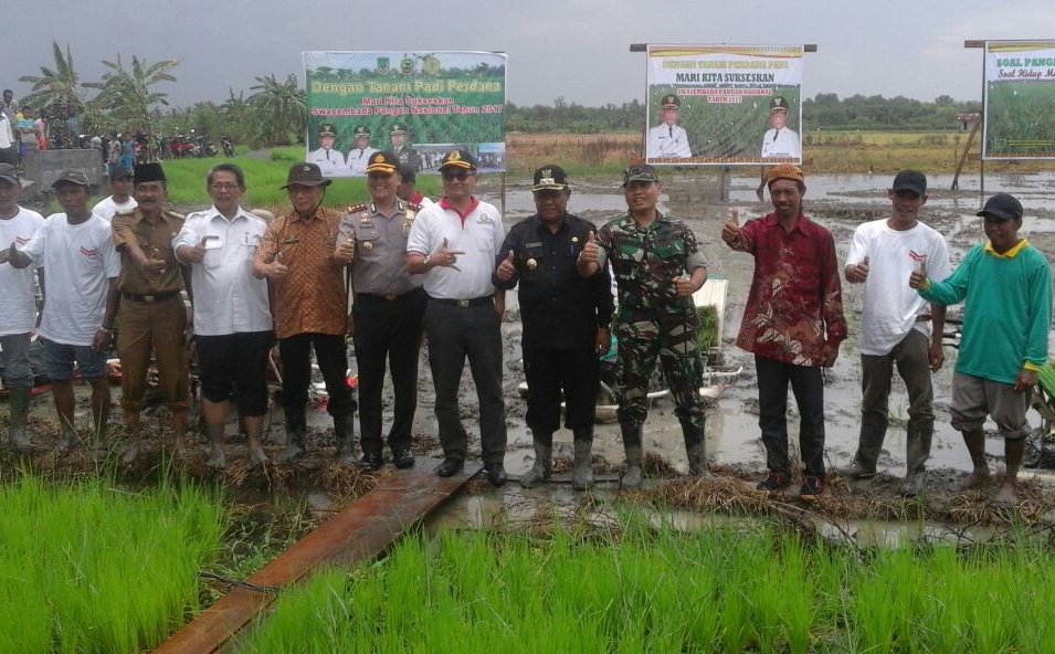 Kodim Dan Wabup Tanam Padi Bersama