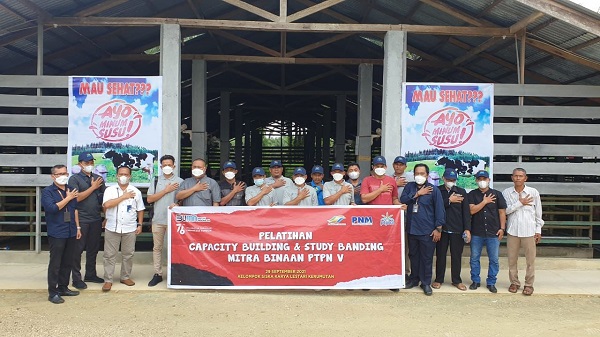 UMK Binaan PTPN V Tahan 