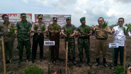 Bupati Meranti Tanam Perdana Cetak Sawah 920 Ha di Desa Topang