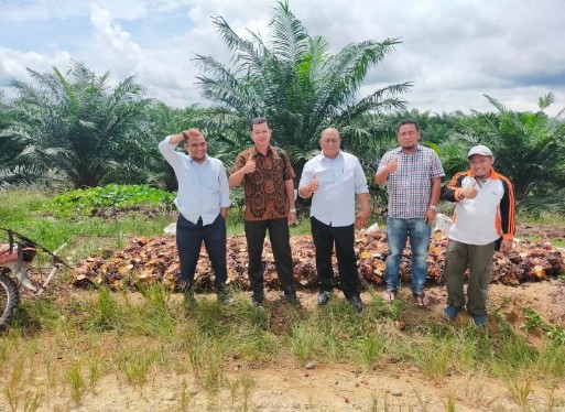 Bahagia Ratusan Petani Mitra PTPN V Pasca Panen Perdana Program PSR