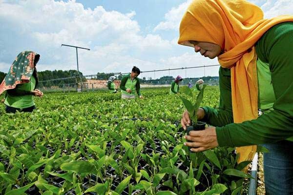 Pemprov Minta Perusahaan Gunakan Tenaga Kerja Lokal di Riau