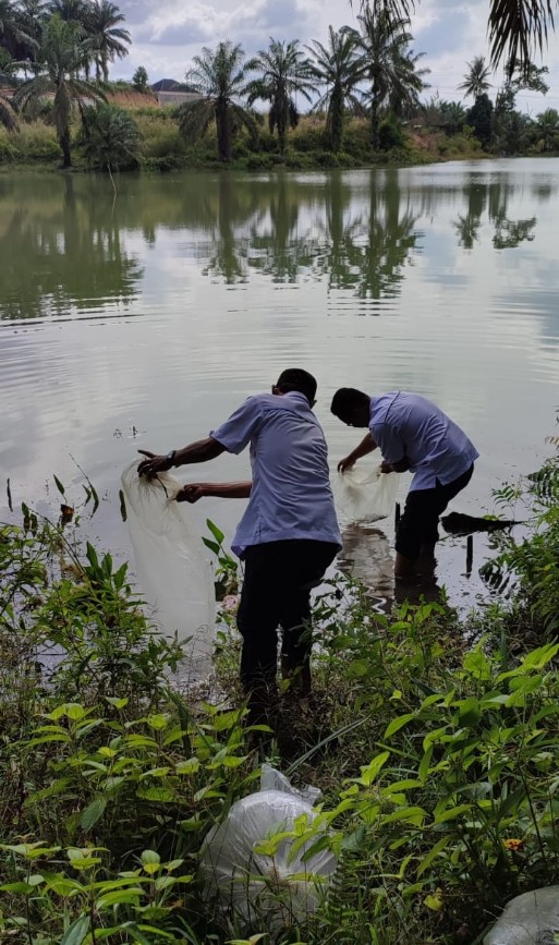 PTPN V TEBAR SATU JUTA BIBIT IKAN SERENTAK DI RIAU