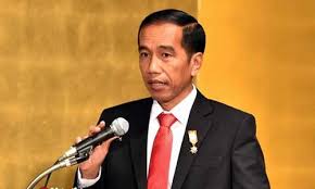 Ini Pesan Presiden Jokowi Kepada Gubernur Yang Baru Dilantik
