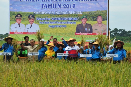 Panen Raya di Kecamatan Kelayang, Bupati Yopi Apresiasi Kerja Keras Petani
