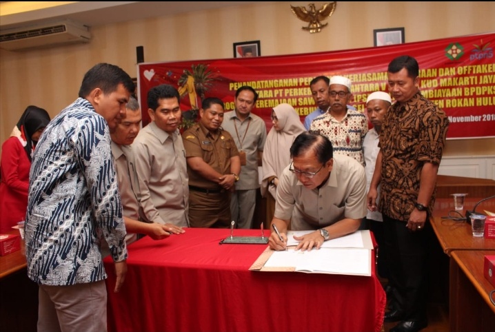 Taken MOU Peremajaan 725Ha Sawit KUD Makarti Jaya, PTPN V Hadir Bersama Rakyat