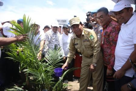 Bersama Menteri BUMN, Bupati Rohul Ikut Tanam Perdana Program Peremajaan Sawit Rakyat di Desa Kumain