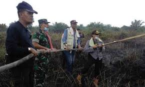  Atasi Karlahut, Bupati Rohil 'Semprot' Dishut 