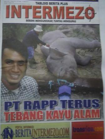 PT RAPP Terus Tebang Kayu Alam