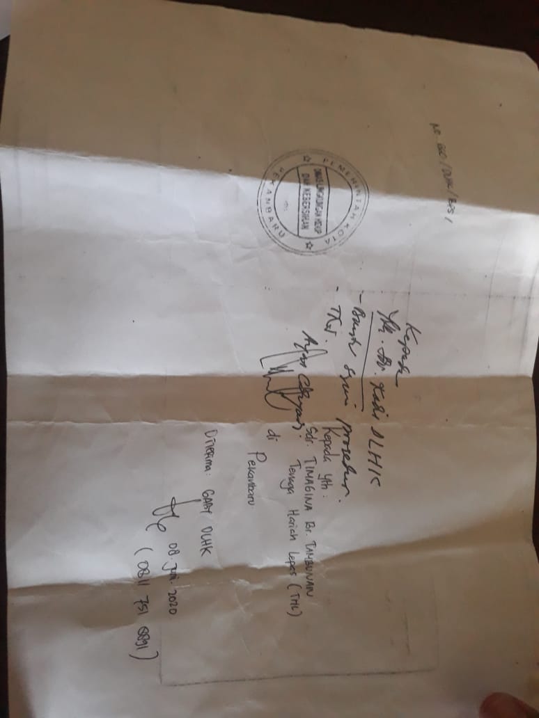 Mengabdi 12 Tahun, THL DLHK di PHK Sepihak dan Cueki Rekomendasi Walikota Firduas.