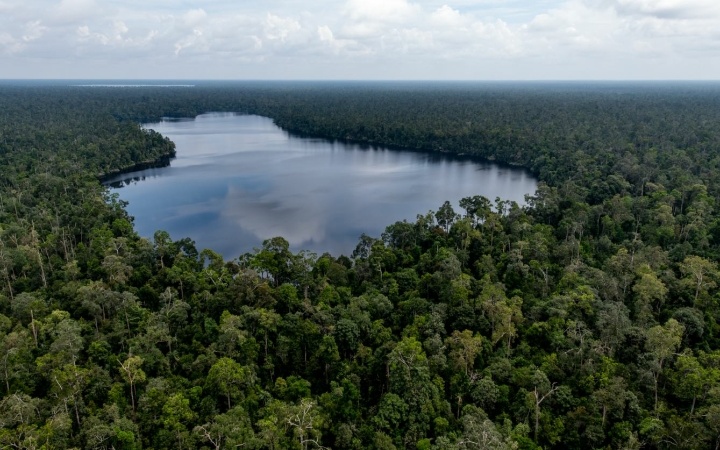 RER Perbaiki Hutan Rawa Gambut Utuh Terbesar di Sumatera
