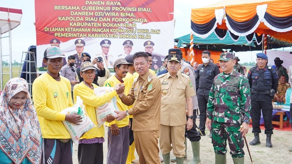 Gubernur Riau Bersama Danrem 031 Wira Bima dan Kapolda Riau Panen Raya Padi di Rohil 