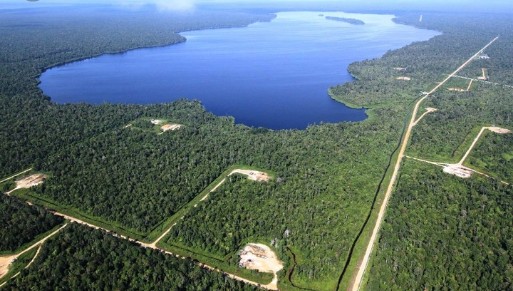 Bupati Siak Dukung Promosi Taman Nasional Zamrud Lewat Lomba Karya Jurnalistik PWI