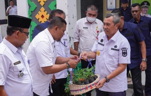 Gubri  Syamsuar : Manfaatkan Pekarangan Rumah Tanam Cabai