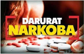 Sindikat Narkoba Sasar Karimun