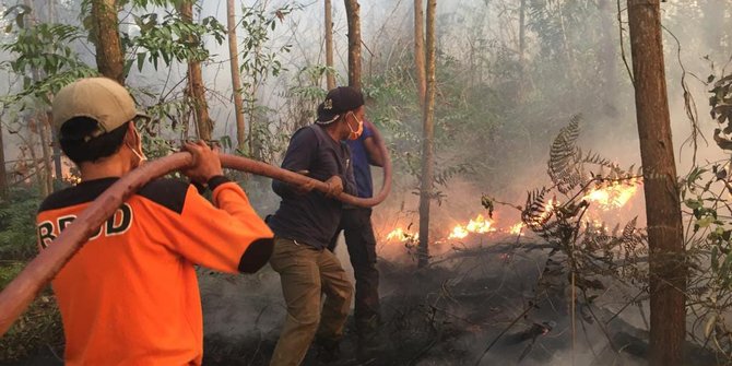 Selama Dua Bulan Ini, Kebakaran Telah Hanguskan 497 Hektare Hutan di Riau