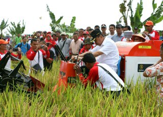  Sungai Mandau Siak Pusat Benih Padi Riau