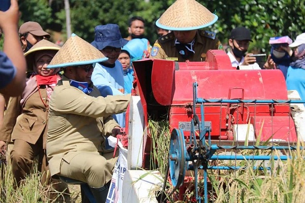 Wawali : Terima KasihPpetaniSsudahIikut Membantu Pemerintah Dalam Ketahanan Pangan