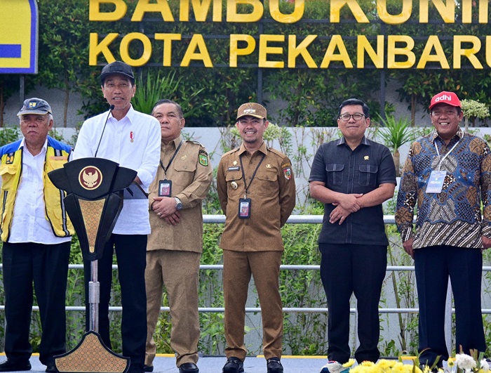 Presiden Jokowi Resmikan Proyek Bernilai Rp902 Miliar di Kota Pekanbaru
