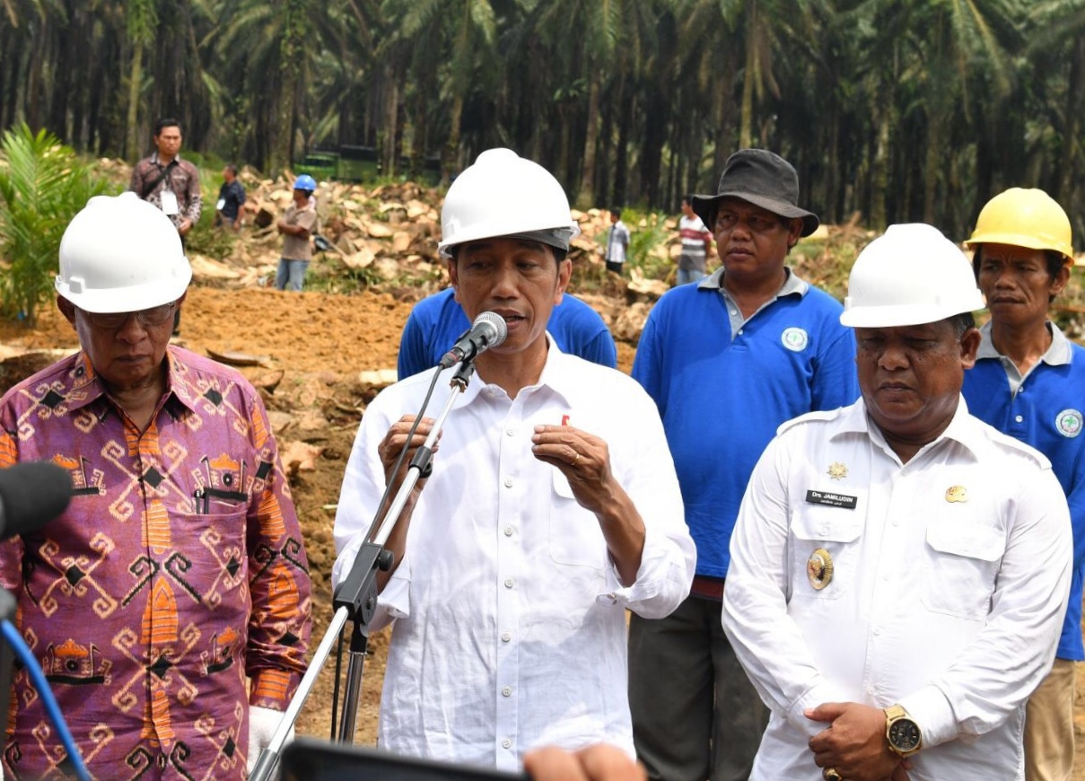 Dilakukan Presiden Jokowi, Riau Dijatah PSR Seluas 25.423 Hakter