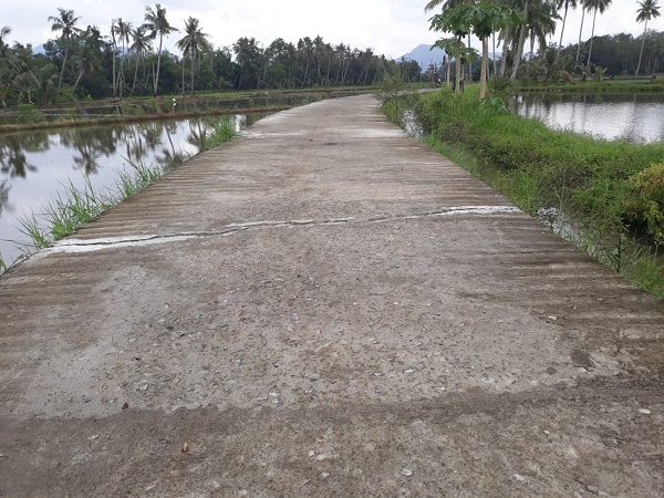 Belum Setahun Jalan Rigid Kalibening Sudah Rusak, PPK Anggap Biasa?