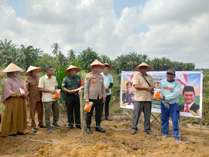 Wujudkan Asta Cita Presiden RI, Polsek Simpang Kanan Ambil Bagian 7,4 Hektar Tanaman Jagung