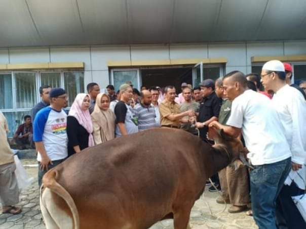 Tahun Ini PWI Riau Sembelih 5 Ekor Sapi di Hari Daya Idul Adha