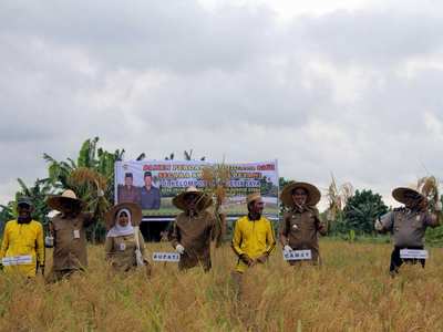 Petani Kuta Panen Padi Perdana