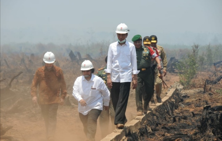 Divonis Bersalah Kasus Karhutla, Menteri LHK: Justru Pak Jokowi Membenahi yang Salah-salah