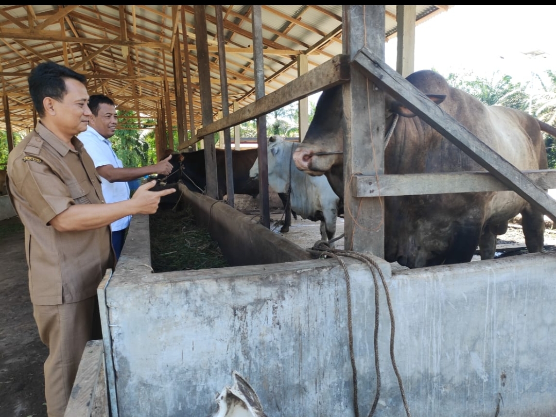Geliat Ekonomi Desa Binaan Kebun Tandun PTPN V