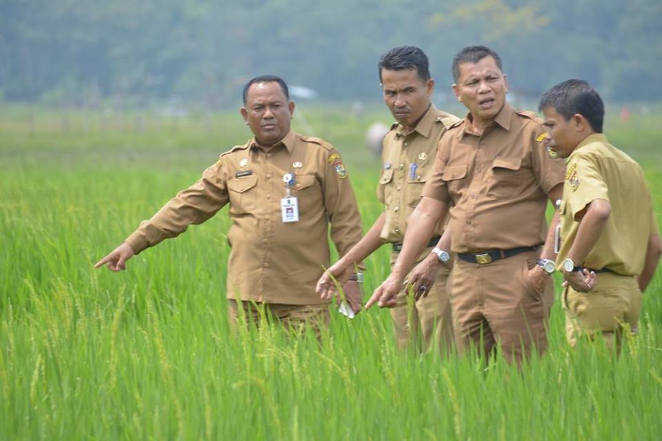 Sekda Kampar Tinjau Lokasi Pertanian Tujuan Kunjungan Menristekdikti