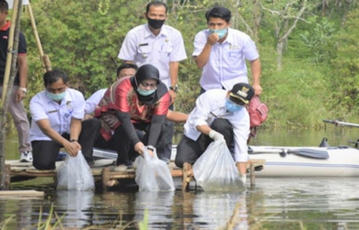 Faperta UIR Tebar Bibit Ikan di Danau Tiga Mata Air Kuansing