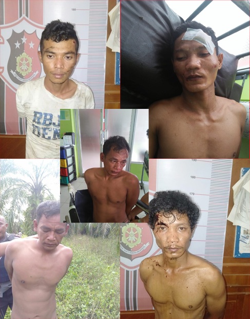 Polres Rohil Tangkap 5 dari 7 Pelaku Pencurian Sarang Walet