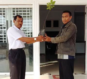 Pemkab Rohil Bagikan Bibit Pohon Untuk Sekolah