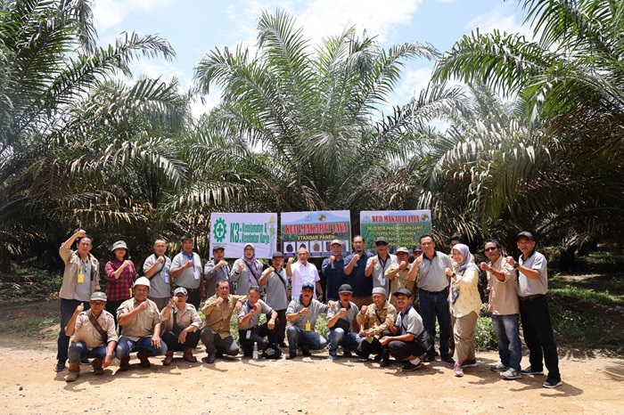 Petani Sawit Kalbar Adopsi Pola Kemitraan Petani dan PTPN IV Regional 3 Riau
