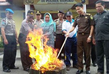 Polsek Bangko Musnahkan BB Ganja Seberat 2 Kilogram