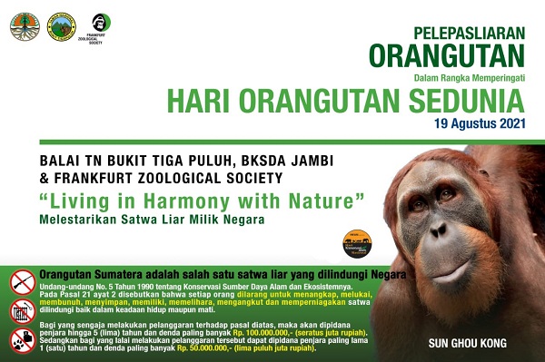 Balai TNBT Lepasliarkan Sun Ghou Kong 