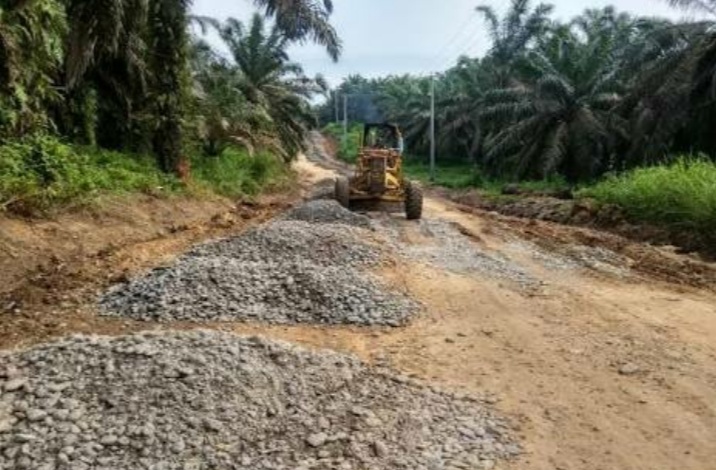 Sepanjang 12 KM, Dinas PUPR Rohul Lakukan Pemeliharaan Jalan Desa Lubuk Bendahara Timur - Pemandang