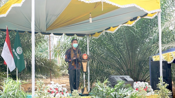 Program PSR Ditanam Presiden, Dipanen Perdana Wapres Secara Virtual 