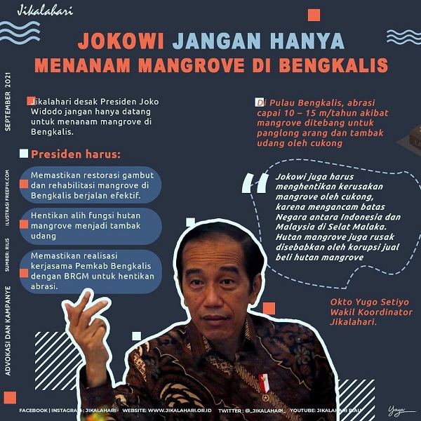 Jikalahari Desak Presiden Jokowi Tidak Sekedar Menanam Mangrove di Bengkalis