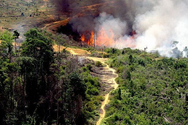 Musim Panas, Kabupaten Pelalawan Terpatau 4 Hotspot