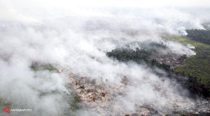 Gubernur Riau tetapkan siaga darurat kebakaran hutan