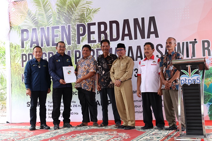 Program Peremajaan Sawit  PTPN V Akan Diterapkan Secara Nasional Setelah Sukses Dilaksanakan di Riau