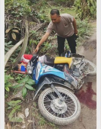 Senjata Makan Tuan, Pemanen Sawit Tewas Tergorok Egrek Sendiri 
