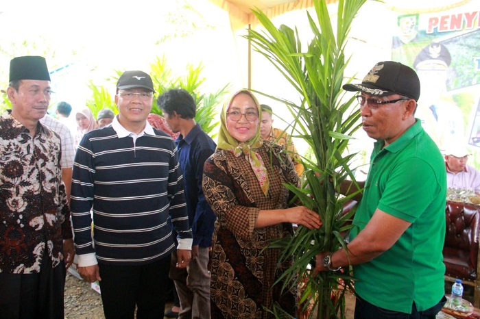 Gubernur Rohidin Serahkan Puluhan Ribu Bibit Tanaman dan Alat Pertanian