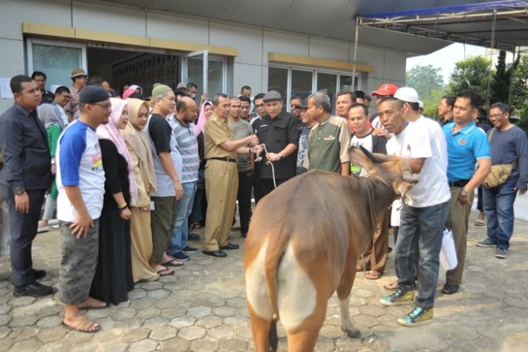 Idul Adha 1441 H, PWI Riau akan Sembelih 4 Ekor Sapi dan 4 Ekor Kambing